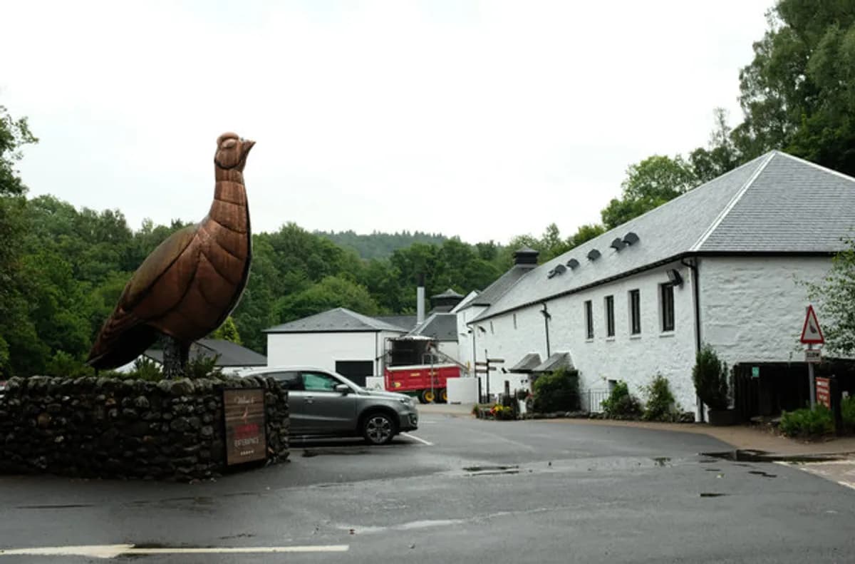 Matthew Gloag Sons LTD