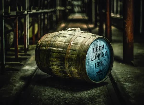 Loch Lomond 1995 HHD (1st Fill Olosoro Sherry)