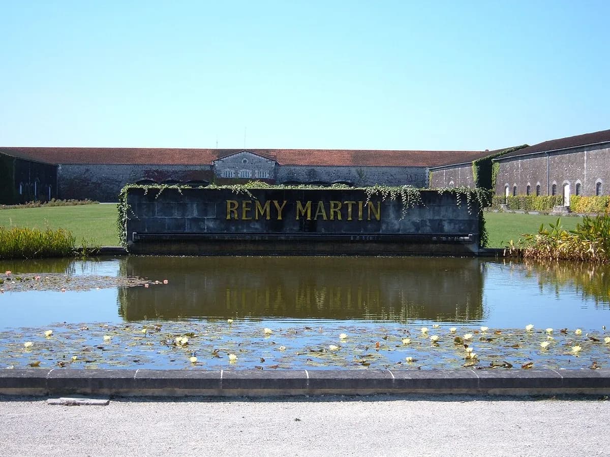 Remy Martin